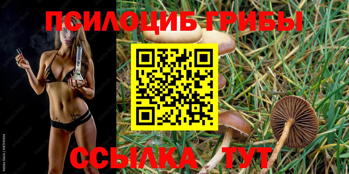 Псилоцибиновые грибы ЛСД Волгоград